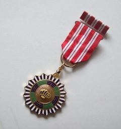 OUTSTANDING NAVAJO NATIVE AMERICAN LAPIS HEISHI STERLING SILVER EARRINGS 歷史價格詳細信息