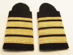 一細草花紋 面包牌 無事牌  青海青藍調 新疆和闐玉352 歷史價格詳細信息