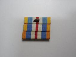 美軍軍用品-本土防禦服役獎章-海軍/陸戰隊-空軍-陸軍 歷史價格詳細信息