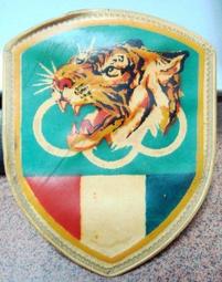 早期--國軍---臂章---名條----6X10公分---空軍軍官學校 歷史價格詳細信息