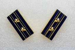 可欣台灣精品：2星忠勤勳章 Order of Loyalty and Diligence（2star） 歷史價格詳細信息