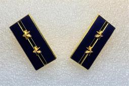 可欣台灣精品：2星忠勤勳章 Order of Loyalty and Diligence（2star） 歷史價格詳細信息