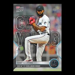 SENDY AUDIO PEACOCK 孔雀-旗艦款平面振膜高傳真監聽耳機（沉穩黑） 歷史價格詳細信息