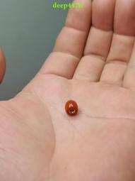 南紅直切骷髏，保原礦，手工雕刻尺寸8*5左右，適合直切的珠子17752 歷史價格詳細信息