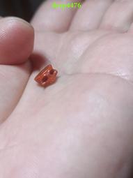 保山原礦南紅，楊柳料，精品貔貅吊墜掛件，水紅色，個頭大，圓潤飽滿，無雜裂，做工精細，無烤色 歷史價格詳細信息