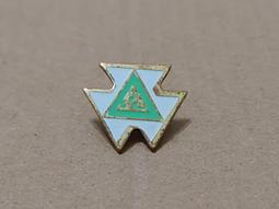 【老徽章 胸章 紀念章】青年自強活動 優勝 背面有"共同研習優勝紀念"字樣 中國青年反共救國團 (M143) 歷史價格詳細信息