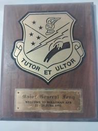 49.美國怪獸得到專利的7N扁平喇叭線 2*420芯高純度銅10米長 ----特價700元 歷史價格詳細信息