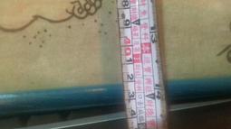 二手日本先鋒 PIONEER XV DV77  DVD主機(無配件測試當收藏/裝飾品 歷史價格詳細信息