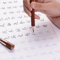 筆 蠅頭小楷毛筆狼毫兼毫羊毫專業級書法套裝簪花小楷抄經瘦金體工筆勾線筆國畫專用行書楷書初學者小紅毛細手札 歷史價格詳細信息