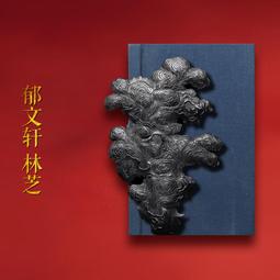 郁樺珠寶項鏈神龍擺尾戒指本命龍年轉運指環高級輕奢情侶開【二丁目】 歷史價格詳細信息