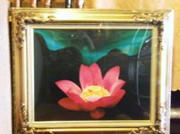 裝飾擺設收藏品 寶麗來XIAO 拍立得一次成像底片相機Polaroid相紙 歷史價格詳細信息