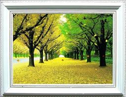 破盤價！！60mm錢幣收藏硬幣盒紀念幣銀元古幣小圓盒保護盒 塑料盒 10個 歷史價格詳細信息