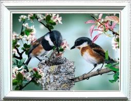 破盤價！！60mm錢幣收藏硬幣盒紀念幣銀元古幣小圓盒保護盒 塑料盒 10個 歷史價格詳細信息