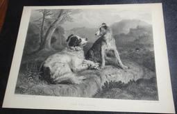 1890年 摩根 銀幣 美國16197 歷史價格詳細信息