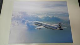 （義賣）愛心布質手提袋。 歷史價格詳細信息