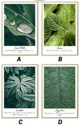 ART。DECO 綠色海岸地中海裝飾畫現代客廳掛畫中式餐廳壁畫三聯畫臥室牆畫(3款可選) 歷史價格詳細信息