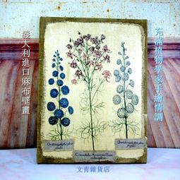 與植物一起生活 從零打造復古風花園 日本知名園藝師松田行弘誠意之作！新手造園施工全流程，10大造園 歷史價格詳細信息