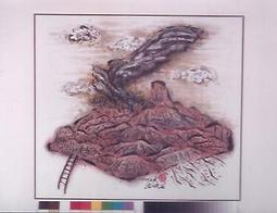 《大橋》御廚首選餐廳名米(5kg/包x1) 防疫限定 台南11號 產地名米 Q彈可口 新米 新鮮現碾 原廠直送 歷史價格詳細信息