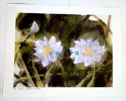 林風眠作品集(繁中版)/ 克捷圖書 歷史價格詳細信息