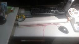 真跡非複制畫早期的富貴牡丹，很大幅，照片上面有尺寸落款處外面的塑膠保護地方有簽字筆字跡沒有污染到作品便宜賣1980自取 歷史價格詳細信息