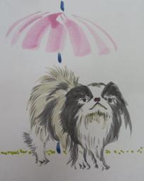 日日新6006特長男雨鞋(深藍色) 歷史價格詳細信息