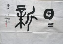 日日新6006特長男雨鞋(深藍色) 歷史價格詳細信息