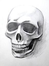 素描的動物世界/畫茹風編著 歷史價格詳細信息