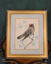 水星1900M雙頻5G千兆口六線 D191g易展無線路由器批發高速大功率 歷史價格詳細信息