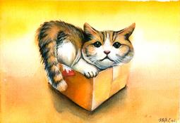 煥賣玩意＃【水彩原作】未裱框 8開 溫室花朵 2013畫作 （可擺飾於咖啡廳、餐廳、辦公室、客廳等地 歷史價格詳細信息