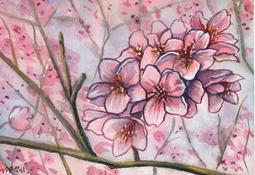 煥賣玩意＃【水彩原作】未裱框 8開 溫室花朵 2013畫作 （可擺飾於咖啡廳、餐廳、辦公室、客廳等地 歷史價格詳細信息