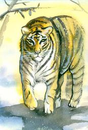 (特價)煥賣玩意＃【水彩原作】未裱框 (27x19cm約16開) 金雞獨立 雞 (可擺辦公室、咖啡廳等) 歷史價格詳細信息