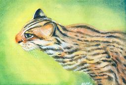 煥賣玩意＃【水彩原作】未裱框 8開 溫室花朵 2013畫作 （可擺飾於咖啡廳、餐廳、辦公室、客廳等地 歷史價格詳細信息