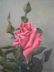 【婕崴創藝小舖 J.W.】免費結緣 心經卡（護貝） ???????????? 歷史價格詳細信息