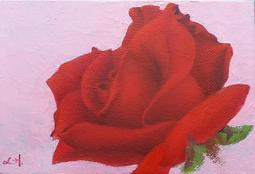 【婕崴創藝小舖 J.W.】免費結緣 心經卡（護貝） ???????????? 歷史價格詳細信息