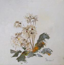 手繪花卉菱形春聯小(共四款：春/喜/滿/福) 歷史價格詳細信息