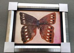 P160手機自拍桿1.6米美顏直播支架補光燈三腳架自拍桿 歷史價格詳細信息