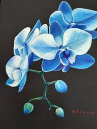 04-27-4--美國1869年代 大型 5元 老紙幣--未使用 歷史價格詳細信息