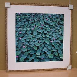 中古紅點點芬蘭24小時咖啡杯碟拿鐵咖啡杯水杯復古下午茶杯碟 歷史價格詳細信息