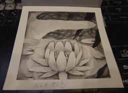 蓮花-6 畫 掛飾 掛畫 國畫 攝影複製畫 版畫 插畫 裝飾畫 掛飾 書畫 掛畫 壁飾 擺飾 擺設 家飾 收藏品 藝術品 歷史價格詳細信息