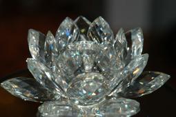 奧地利 施華洛世奇 SWAROVSKI 水晶鬱金香胸針 別針 歷史價格詳細信息