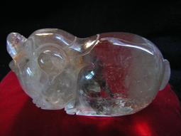 出清????采庭居家????【533】卡通耳機包 立體造型收納盒 Airpods安卓 無線藍芽耳機套 防摔保護盒 歷史價格詳細信息