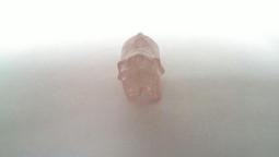 【邑鑫】㊣台灣天然香樟木粉(自製) 淨香粉 氣味清香 敬神禮佛聖品~淨末 貢末 煙供 供香粉 歷史價格詳細信息