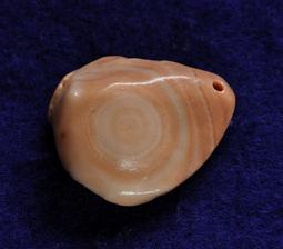 《※精品水晶※》能量至寶 - 透亮鈦金紫晶簇/紫水晶簇R180507專售 鈦晶 碧璽 天珠 舒俱徠 晶球 晶柱 紫晶洞 歷史價格詳細信息