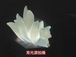 魅力 九尾狐仙 (亮鑽加強款) 古巴丙 古巴炳 招財桃花成願魅力鎖心和合【泰國精品】已開光加持泰國佛牌 歷史價格詳細信息