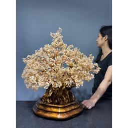 廣生堂 開心爸爸國王節 君燕幸福燕窩飲75ML 15入禮盒 送燕窩女寶膏30入1盒 歷史價格詳細信息