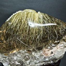 花都極品天師1-11完 歷史價格詳細信息