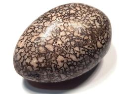 ***原礦屋*** 稀少金屬色！A級江西金色斑銅礦原礦250.38g！(礦石、寶石、冥想、靈修) 歷史價格詳細信息