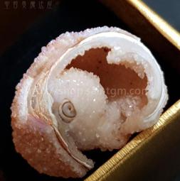 【精選】寶劍漢王短劍八面龍淵小漢劍銅裝一體寬柄收藏擺件刀劍硬劍未開刃 歷史價格詳細信息