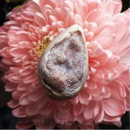 200764 2000片歐洲進口拼圖 CAS 繪畫風景  夢幻生態植物森林 歷史價格詳細信息