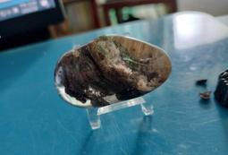 綠幽 TOP四季千層幽靈聚寶盆大猈貅吊墜/項鍊/小擺件~老礦料天然四季幽靈~晶體超好!!頂級!!極品收藏~有影片 歷史價格詳細信息